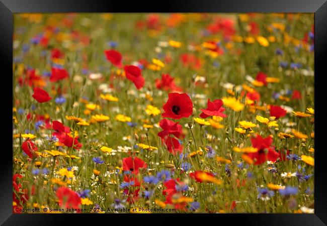 Poppy and wild flower meadow Framed Print by Simon Johnson