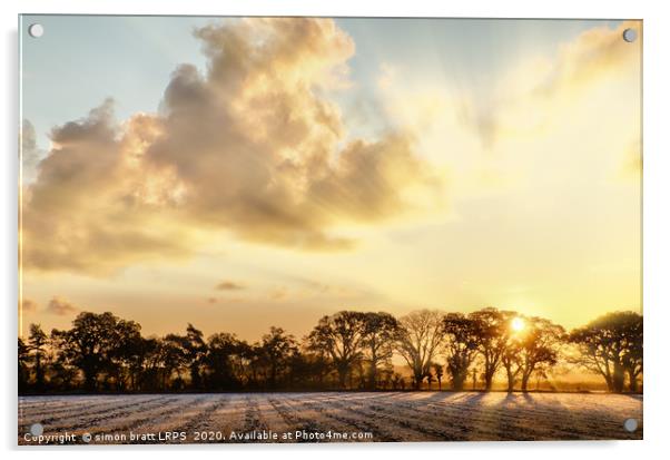 Frosty farmland sunrise in Norfolk UK Acrylic by Simon Bratt LRPS