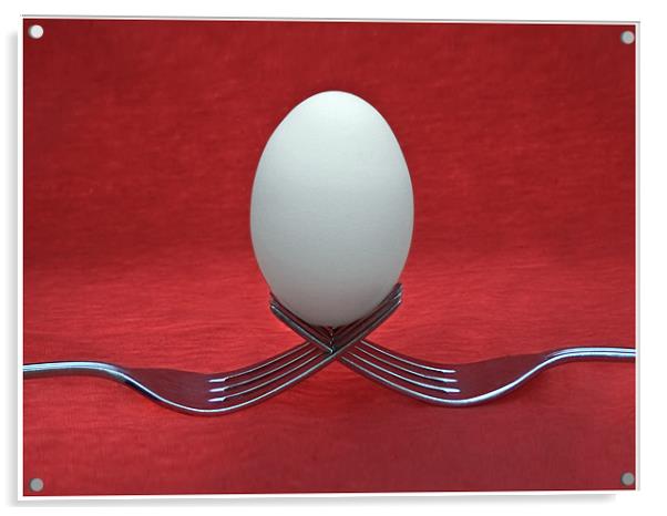 Balanced Breakfast Acrylic by Alice Gosling