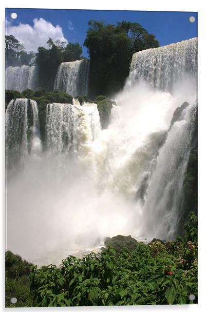 Iguazu Falls Acrylic by David Gardener