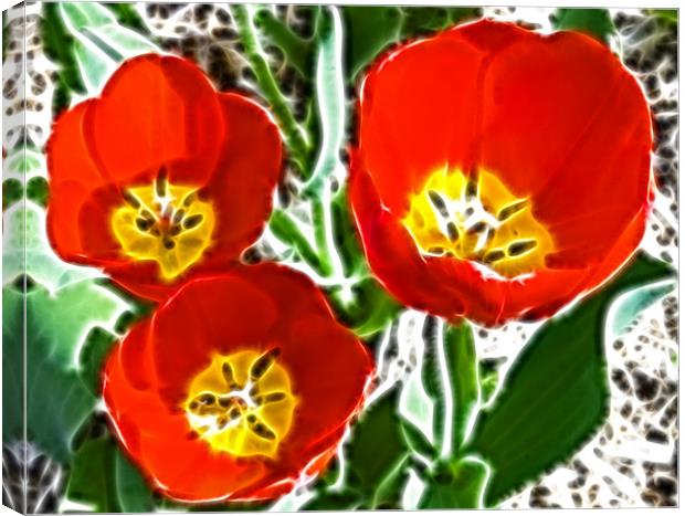 Tulip Fractals Canvas Print by David French