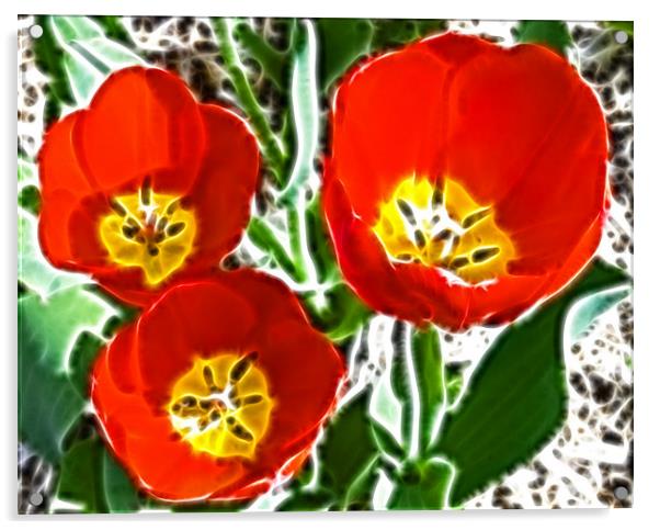 Tulip Fractals Acrylic by David French