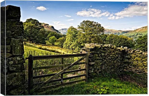 Martindale by Ullswater Canvas Print by David Lewins (LRPS)