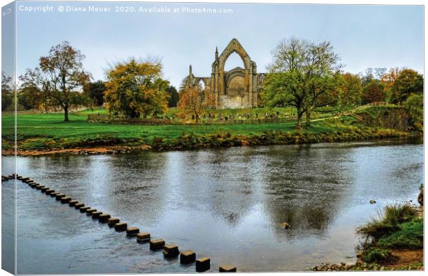 Bolton Abbey Wharfedale Yorkshire Canvas Print by Diana Mower
