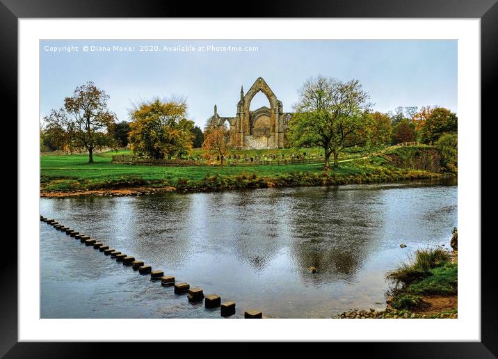 Bolton Abbey Wharfedale Yorkshire Framed Mounted Print by Diana Mower