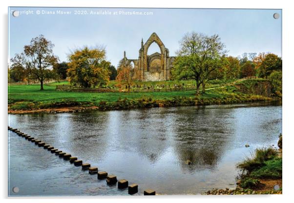 Bolton Abbey Wharfedale Yorkshire Acrylic by Diana Mower