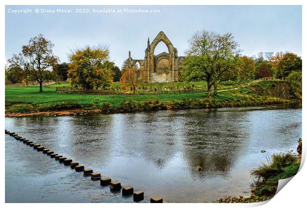 Bolton Abbey Wharfedale Yorkshire Print by Diana Mower