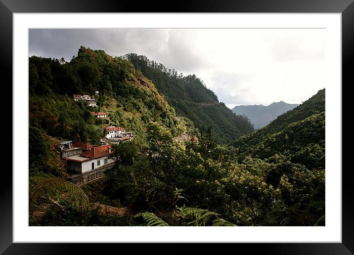 Ribeiro Frio, Madeira Framed Mounted Print by David Gardener