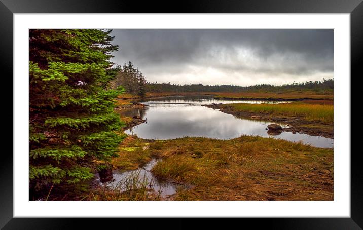 Guysborough Marshes, Nova Scotia, Canada Framed Mounted Print by Mark Llewellyn