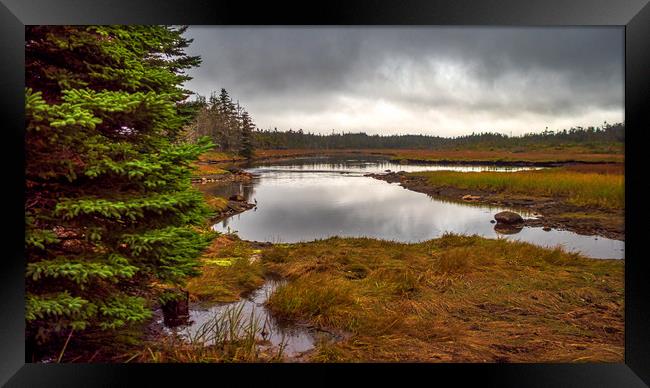 Guysborough Marshes, Nova Scotia, Canada Framed Print by Mark Llewellyn