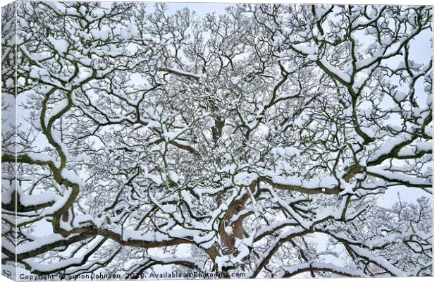 Snow clad branches Canvas Print by Simon Johnson