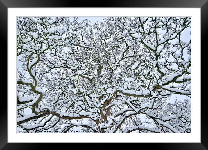 Snow clad branches Framed Mounted Print by Simon Johnson