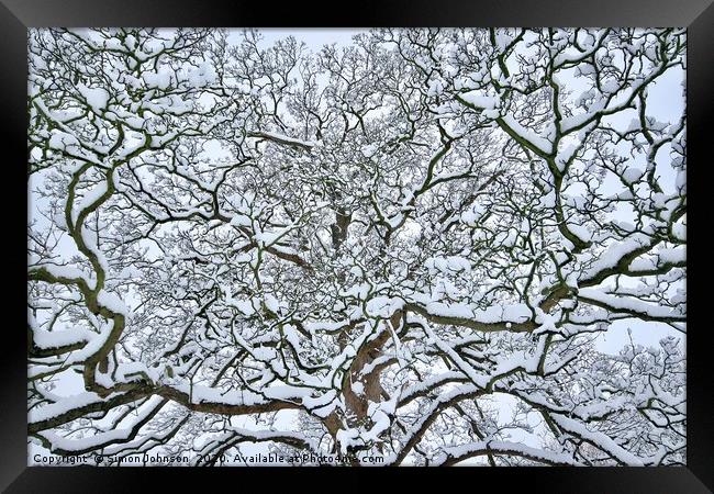 Snow clad branches Framed Print by Simon Johnson