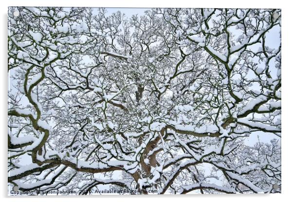 Snow clad branches Acrylic by Simon Johnson
