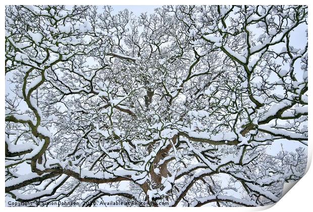 Snow clad branches Print by Simon Johnson