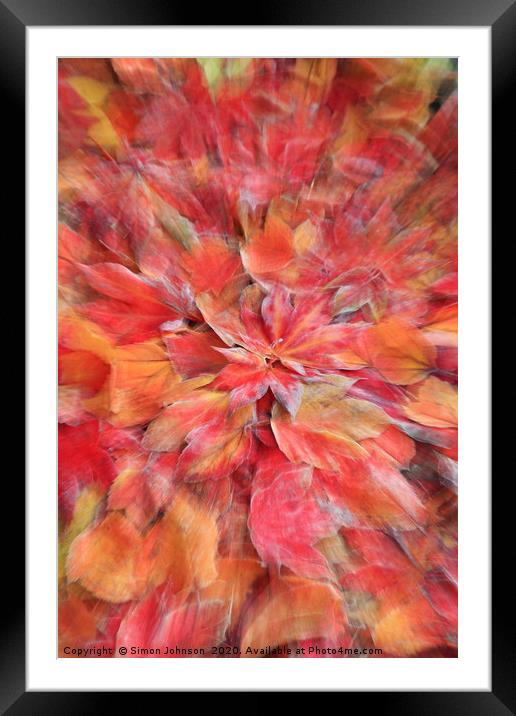 autumn leaf collage Framed Mounted Print by Simon Johnson