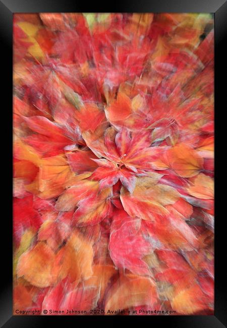 autumn leaf collage Framed Print by Simon Johnson