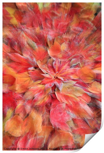 autumn leaf collage Print by Simon Johnson