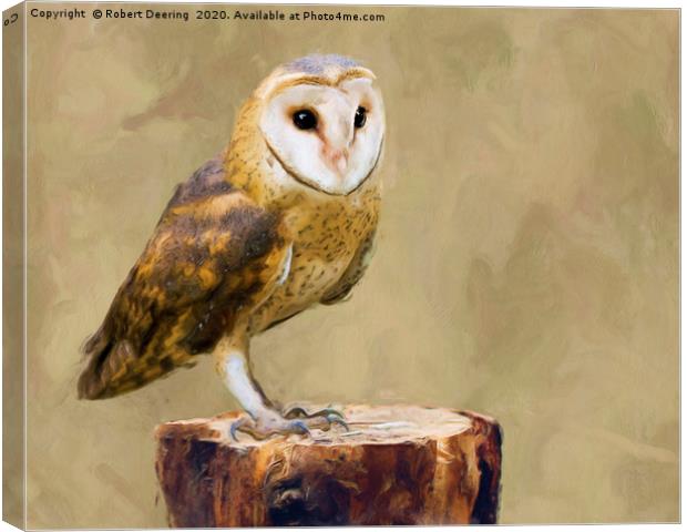 Barn owl on tree stump Canvas Print by Robert Deering