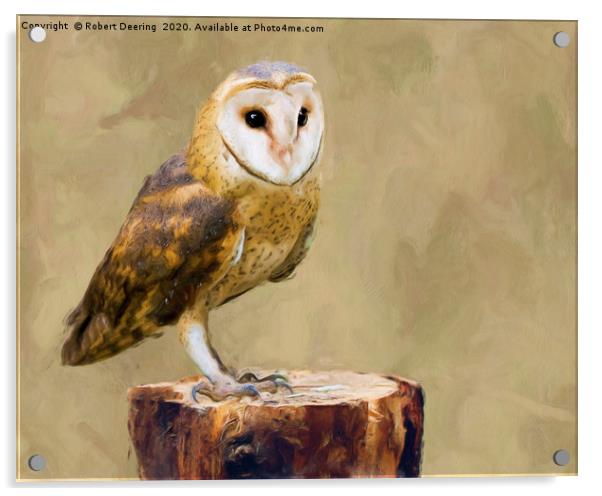 Barn owl on tree stump Acrylic by Robert Deering