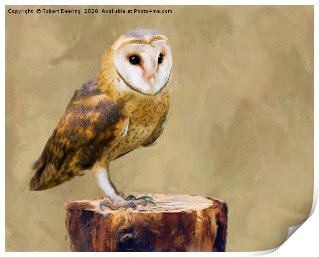 Barn owl on tree stump Print by Robert Deering
