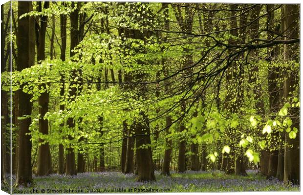 Spring Woodland Canvas Print by Simon Johnson