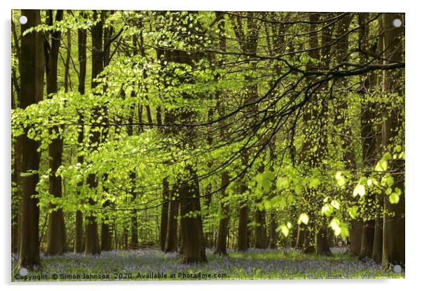 Spring Woodland Acrylic by Simon Johnson