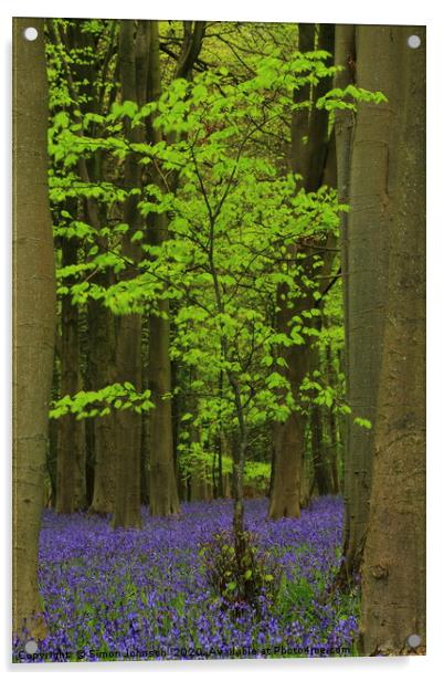  Green Tree and Bluebell Wood Acrylic by Simon Johnson