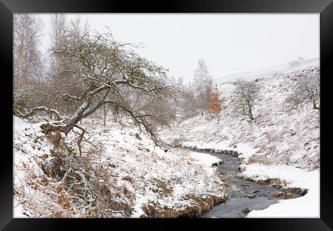 Winter in Swaledale, Yorkshire Dales  Framed Print by Wendy McDonnell