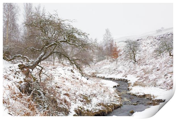 Winter in Swaledale, Yorkshire Dales  Print by Wendy McDonnell