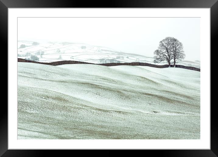 Winter in Wensleydale, Yorkshire Dales  Framed Mounted Print by Wendy McDonnell