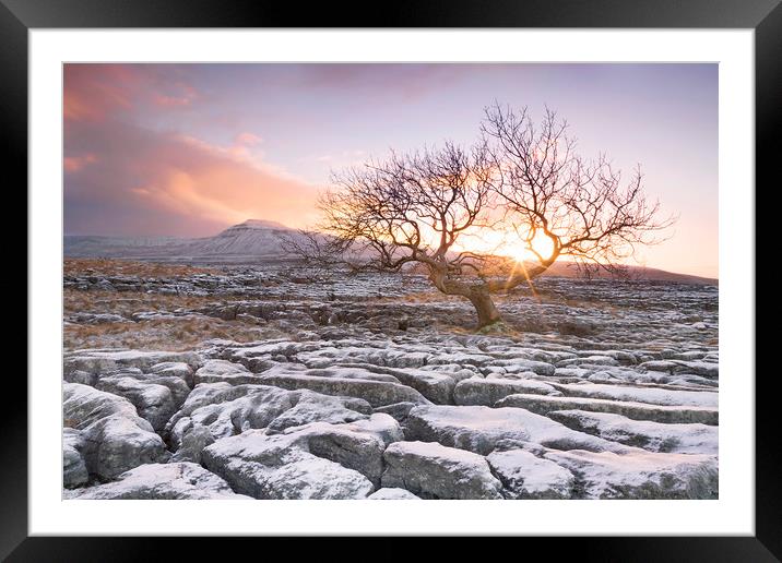 Sunrise, Twistleton Scar, Yorkshire Dales Framed Mounted Print by Wendy McDonnell
