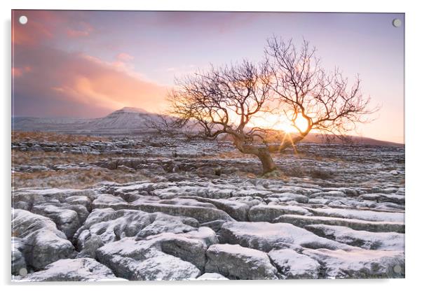 Sunrise, Twistleton Scar, Yorkshire Dales Acrylic by Wendy McDonnell