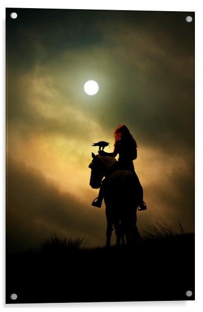 Horseback Falconry Acrylic by Maggie McCall