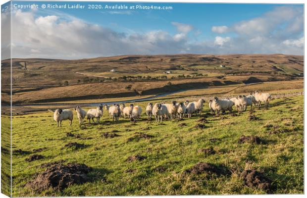 Winter Sun, Harwood, Upper Teesdale Canvas Print by Richard Laidler
