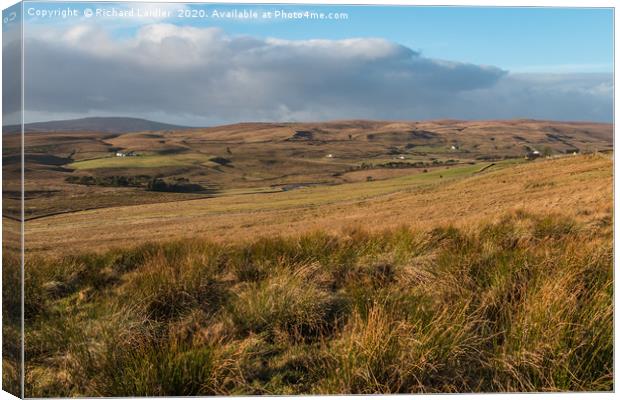 Winter Sun, Harwood, Upper Teesdale (2) Canvas Print by Richard Laidler