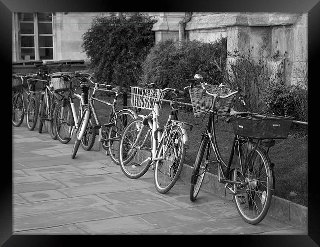 The greener way Framed Print by mick gibbons