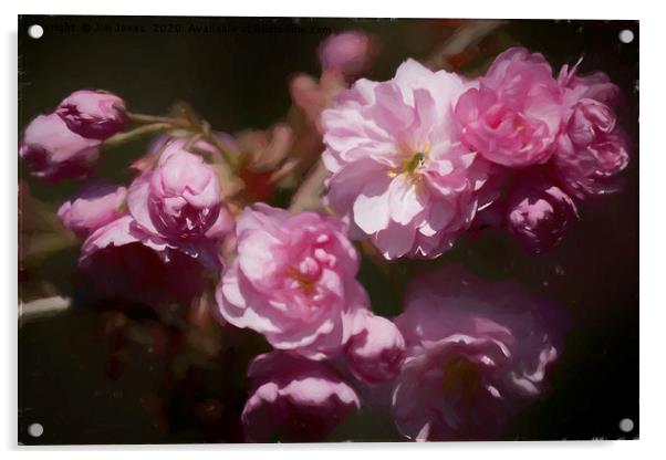 Artistic Cherry Blossom Acrylic by Jim Jones