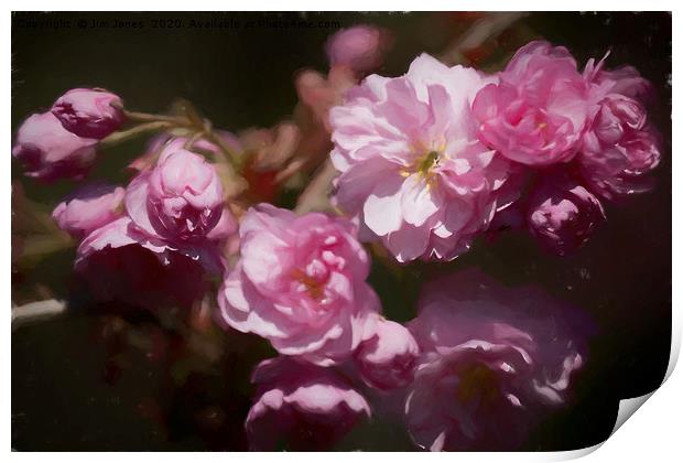 Artistic Cherry Blossom Print by Jim Jones