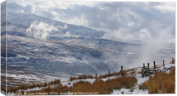 A winter walk up Mount Snowdon Canvas Print by Liam Neon