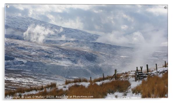 A winter walk up Mount Snowdon Acrylic by Liam Neon