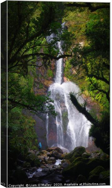 Waterfall in Dusky Sound, New Zealand Canvas Print by Liam Neon