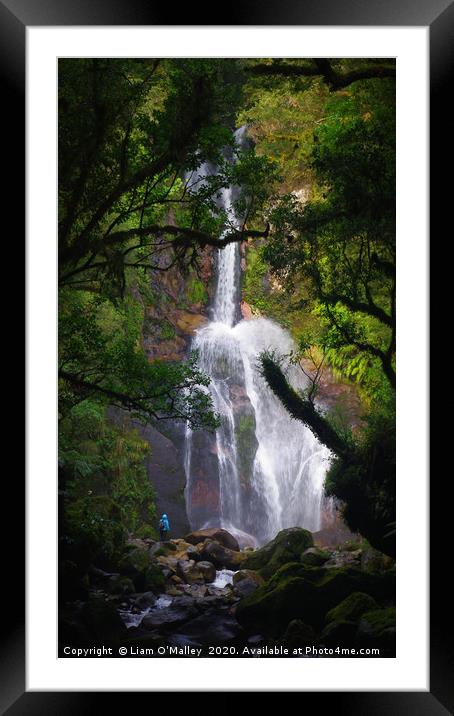 Waterfall in Dusky Sound, New Zealand Framed Mounted Print by Liam Neon