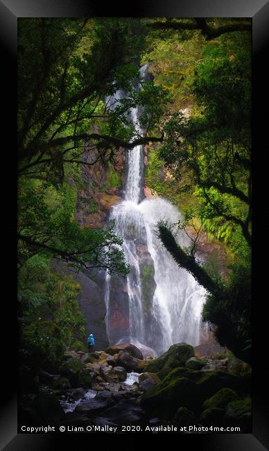 Waterfall in Dusky Sound, New Zealand Framed Print by Liam Neon