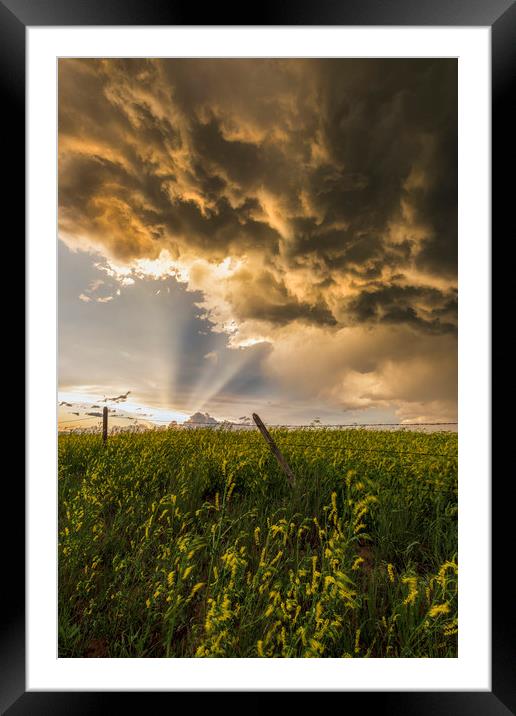 Thunderstorm sunset over Montana Framed Mounted Print by John Finney