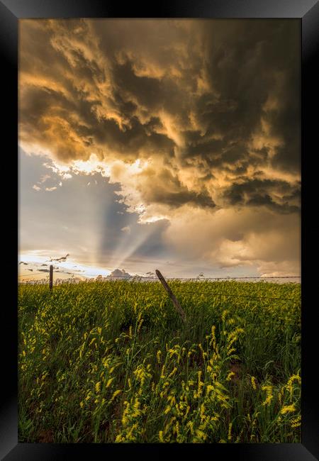 Thunderstorm sunset over Montana Framed Print by John Finney