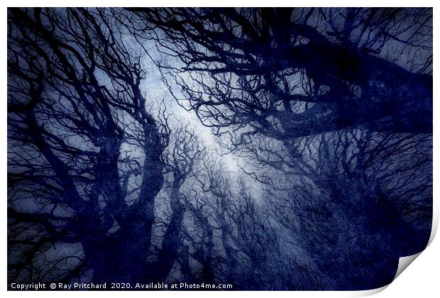 Trees Print by Ray Pritchard