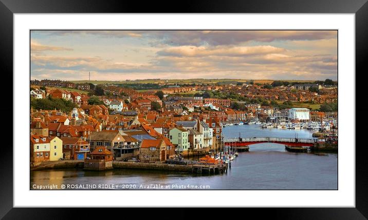 "Looking down on Whitby" Framed Mounted Print by ROS RIDLEY
