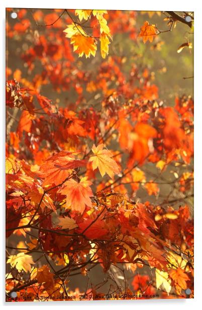 Autumn Leaves Acrylic by Simon Johnson
