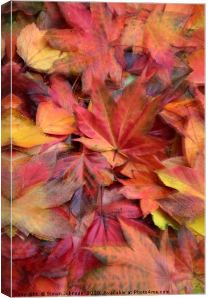 Autumn Leaf Collage Canvas Print by Simon Johnson